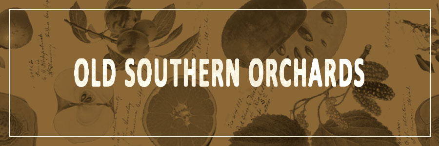 Old Southern Orchards