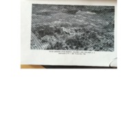 Campbell.5393.pdf