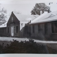 Gray.7109.JPG