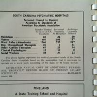 Personnel Needed, Standards of American Psychiatric Association