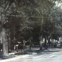 Southern_17.jpg