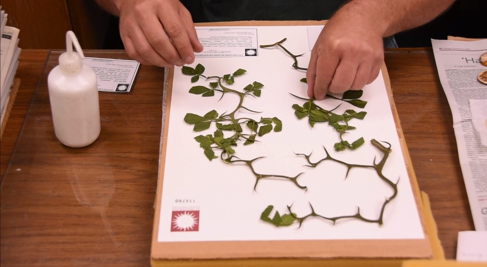 Digitizing data