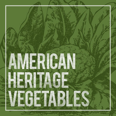 American Heritage Vegetables