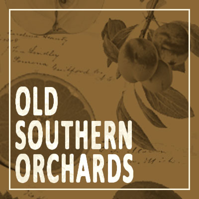 Old Southern Orchards