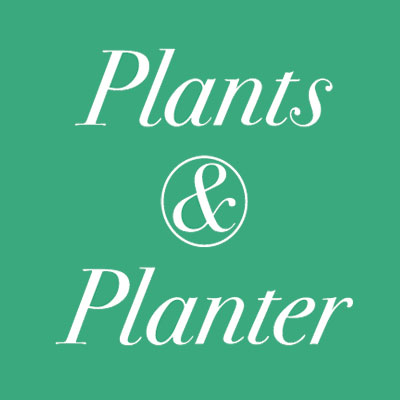Plants and Planters - Henry William Ravenel