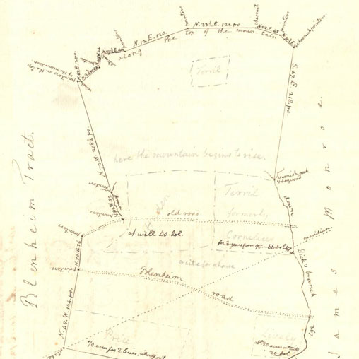 Land Speculation